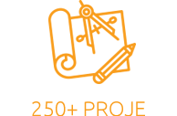 250+ PROJE